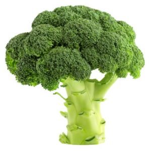 Brócoli